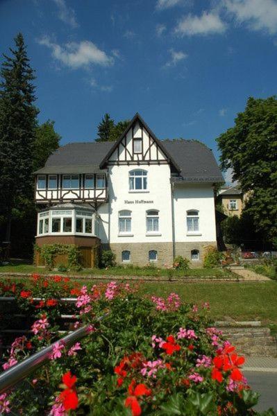 Ferienwohnung In Villa Bad Elster Exterior photo