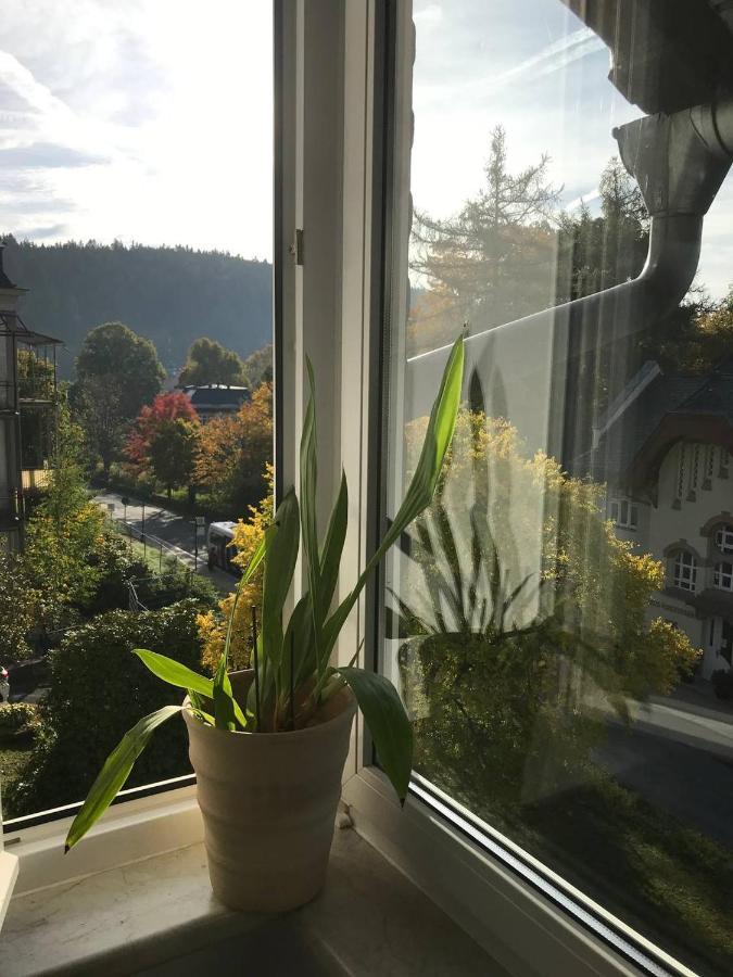Ferienwohnung In Villa Bad Elster Exterior photo
